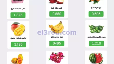 el3rod.com00001