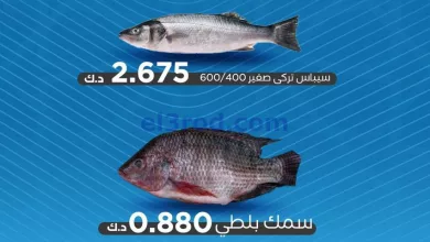 el3rod.com00001