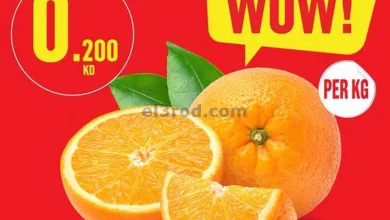el3rod.com00001-246