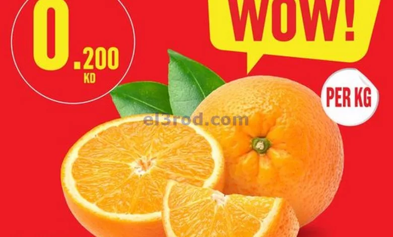 el3rod.com00001-246