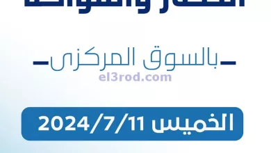 el3rod.com00001-324