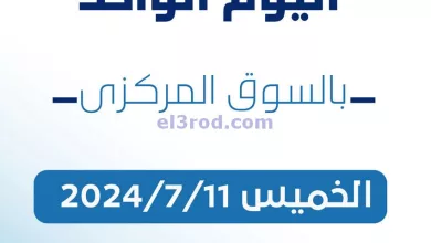 el3rod.com00001-325