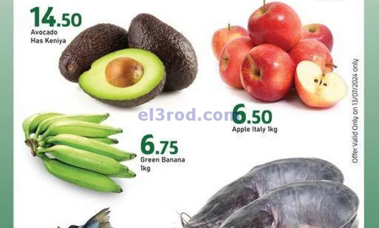 el3rod.com00001-467