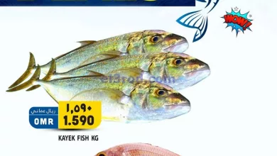el3rod.com00001-581