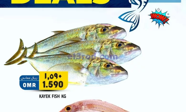 el3rod.com00001-581