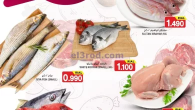 el3rod.com00001-589