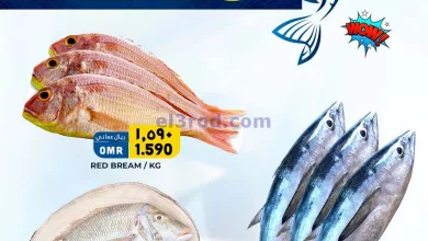 el3rod.com00001-906