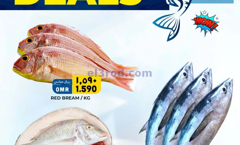 el3rod.com00001-906