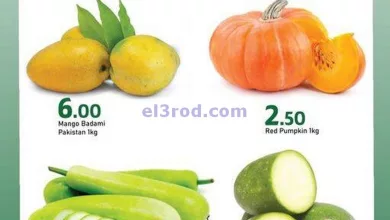 el3rod.com00001-912