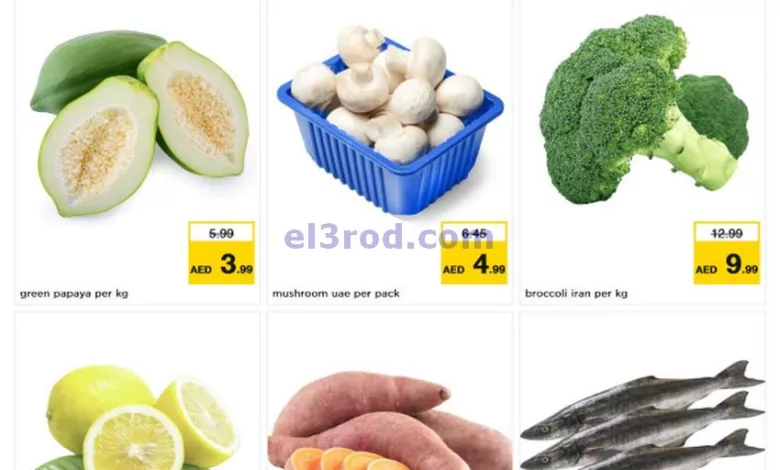 el3rod.com00001-920
