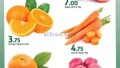el3rod.com00001-978