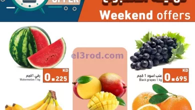 عروض رامز الكويت|11 حتى 12-7-2024|نهاية الاسبوع el3rod.com00003-256