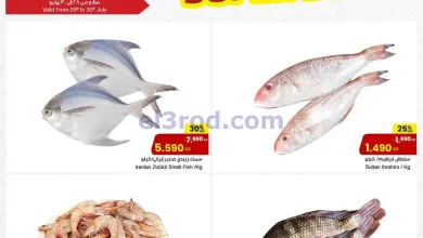 el3rod.com00004