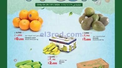 el3rod.com00004