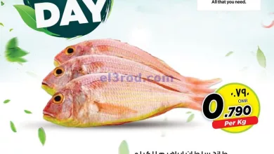 el3rod.com00001