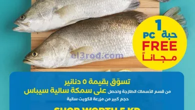 el3rod.com00001