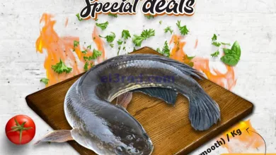 el3rod.com00001