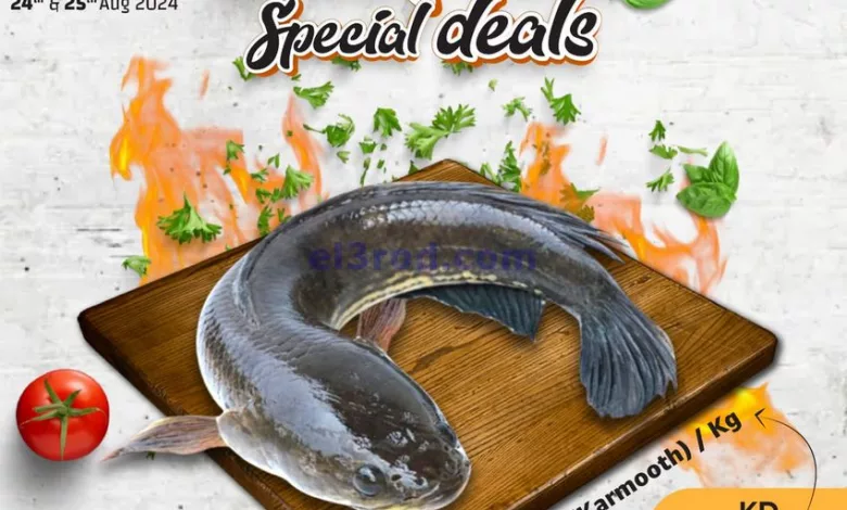 el3rod.com00001