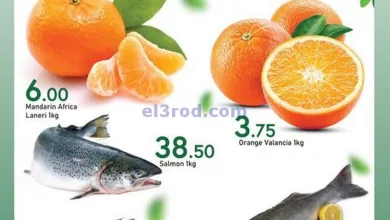 el3rod.com00001