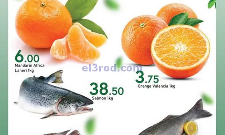 el3rod.com00001
