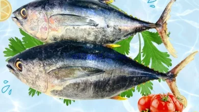 عروض تاج هايبر ماركت عمان|24-8-2024|السبت el3rod.com00001