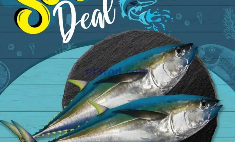 el3rod.com00001
