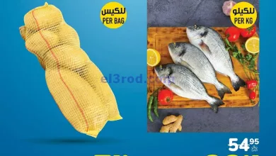 el3rod.com00001