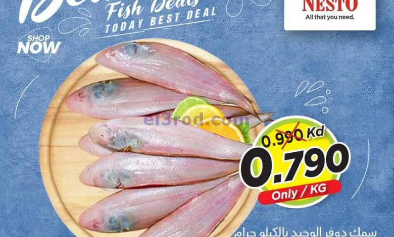 عروض نستو الكويت|27-8-2024|سمك دوفر el3rod.com00001