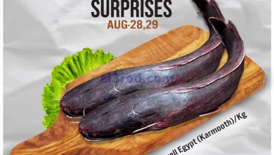 el3rod.com00001