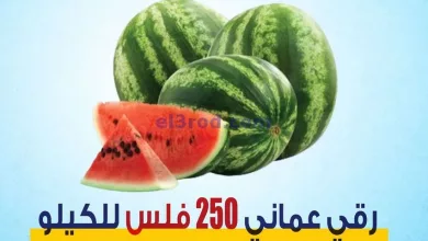 el3rod.com00001