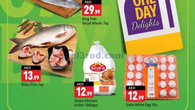 عروض شكلان الامارات|7-8-2024|اليوم فقط el3rod.com00001