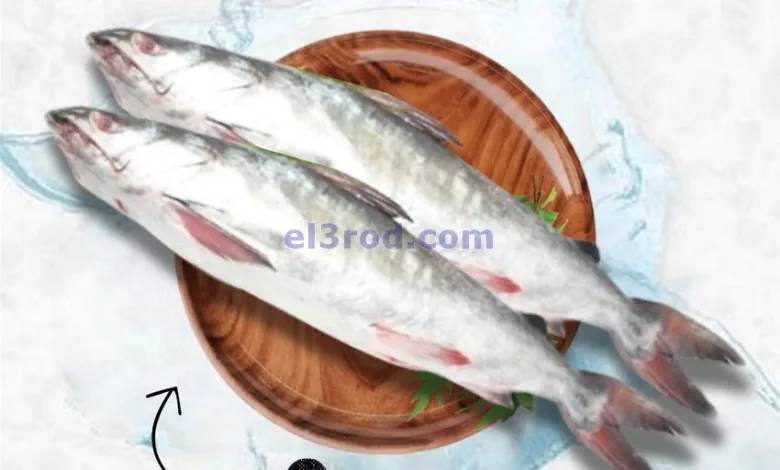 el3rod.com00001