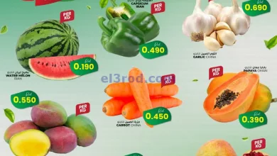 el3rod.com00001