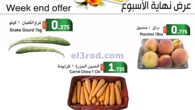el3rod.com00001