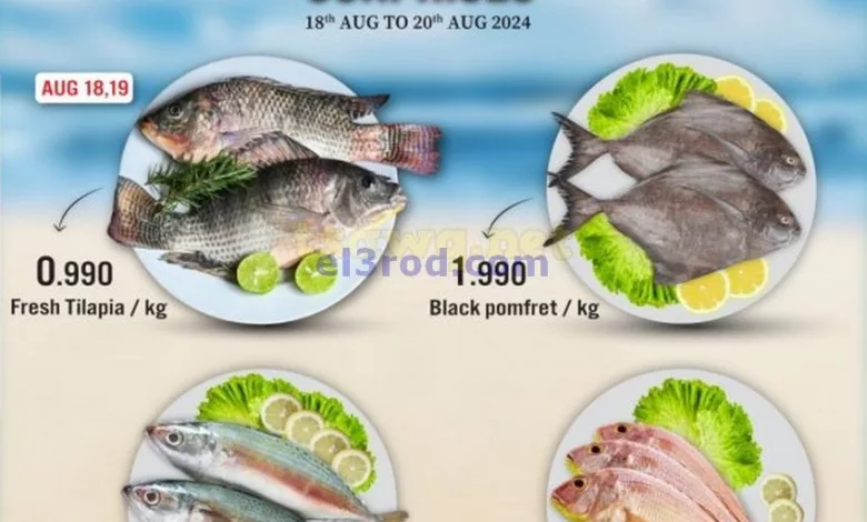 el3rod.com00001