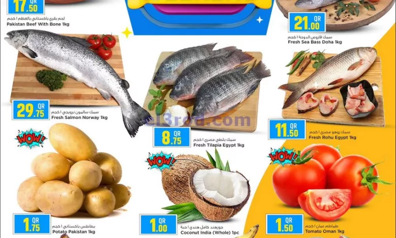 عروض سفارى قطر|29-8-2024|الخميس el3rod.com00002