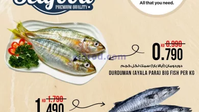 el3rod.com00002