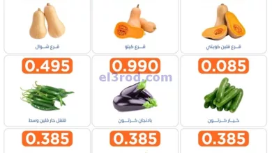 el3rod.com00002