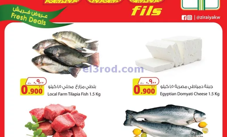 el3rod.com00002