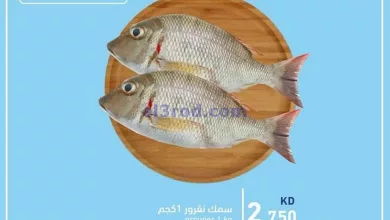 el3rod.com00002