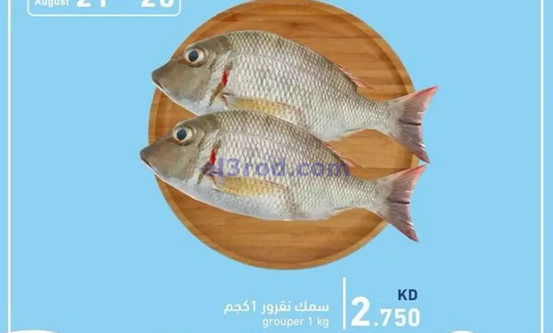 el3rod.com00002