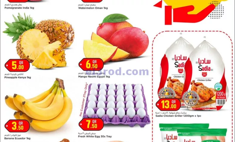 عروض سفارى قطر|23-8-2024|الجمعة el3rod.com00002