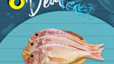 el3rod.com00009