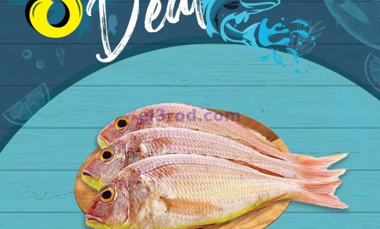 el3rod.com00009