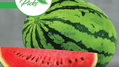 el3rod.com00014