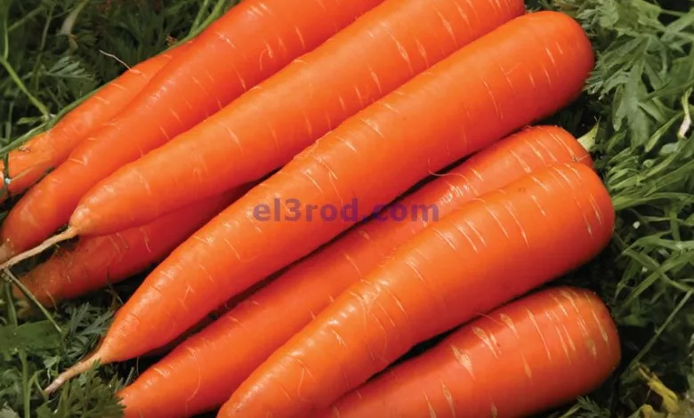 el3rod.com00017