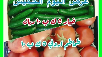 عروض مؤسسة حصاد البساتين السعودي|19-9-2024|طماطم el3rod.com00001