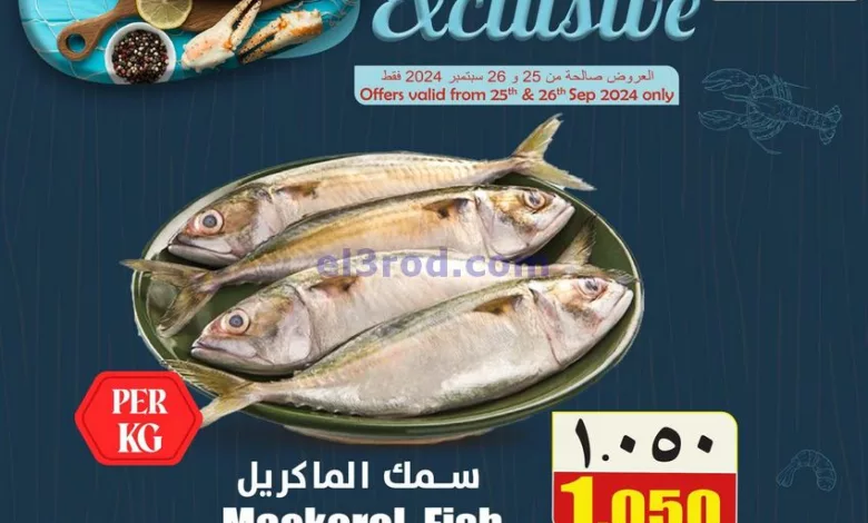 el3rod.com00001