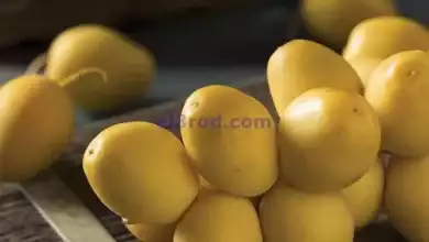 el3rod.com00001