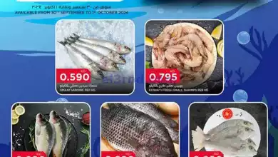 el3rod.com00001